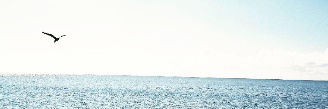 Garrett Klepac banner
