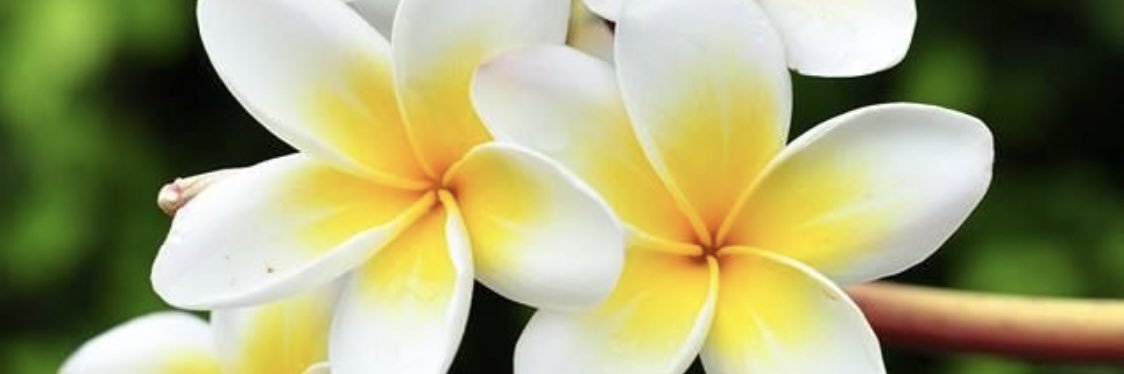 exceptional_tsi's profile banner image