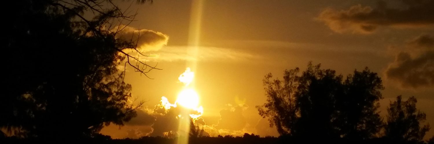 its_cee_brown's profile banner image