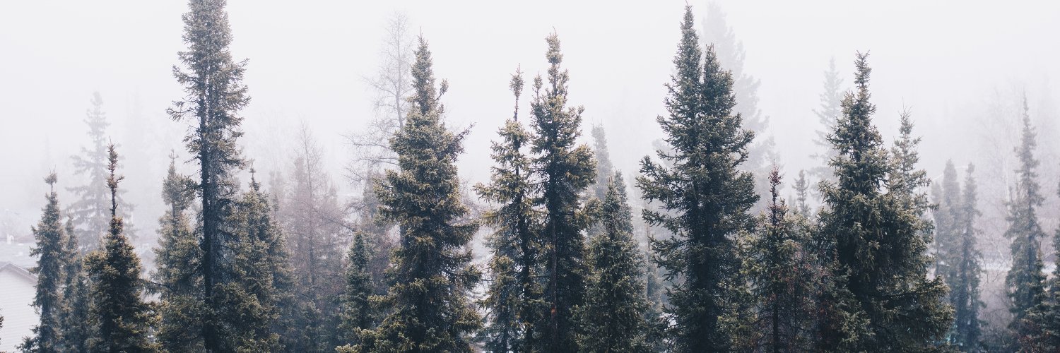 LaymanDesign's profile banner image