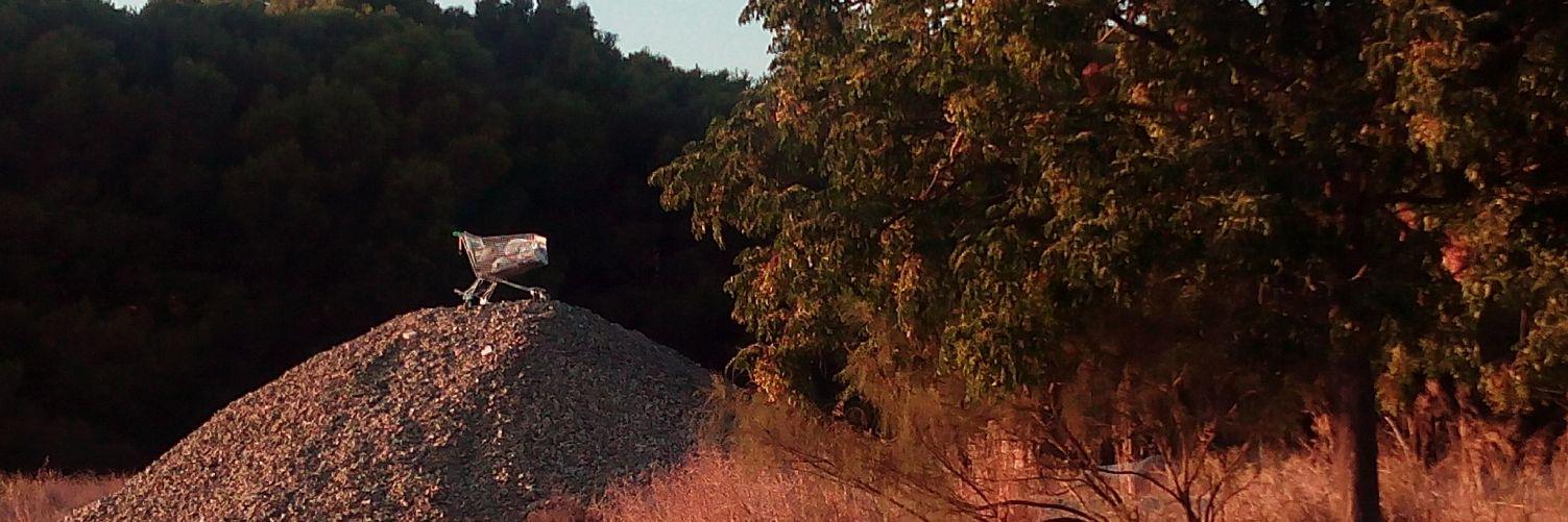 mandy__sr's profile banner image