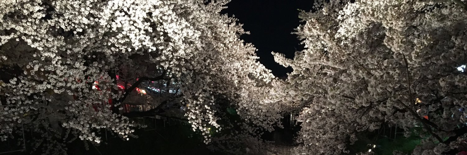jvdidk's profile banner image