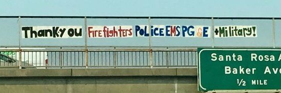 Cheryl Timoney banner