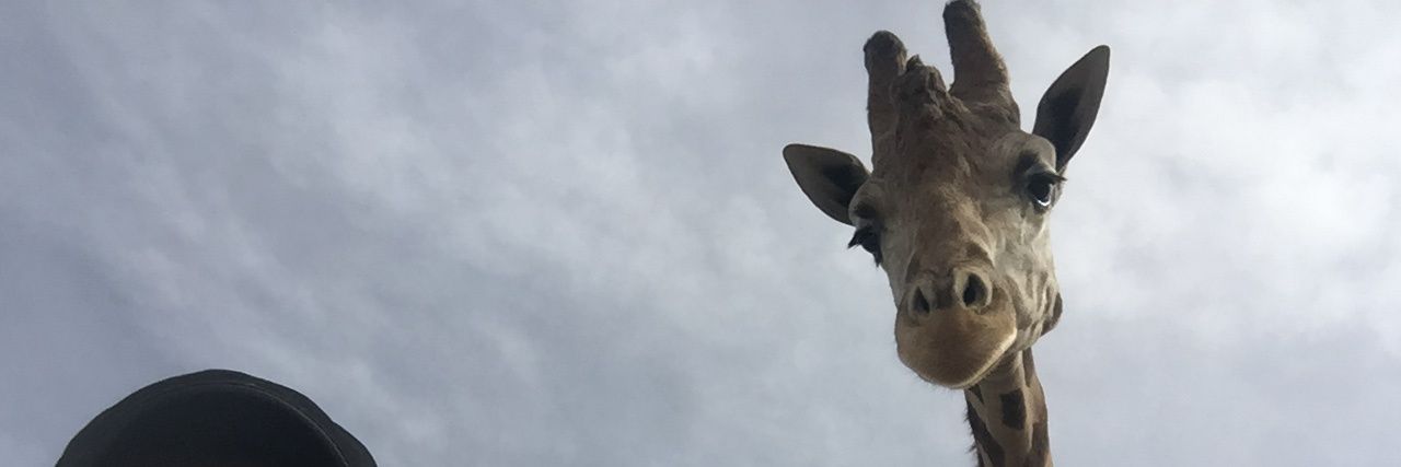 DuenesManolo's profile banner image