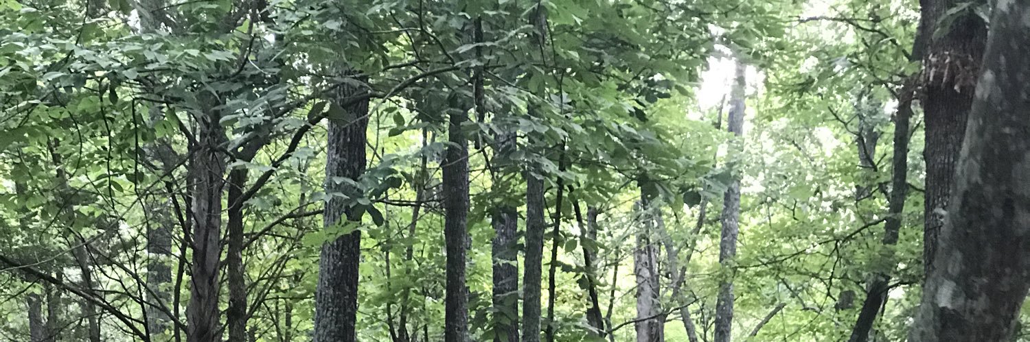 Rasanders11's profile banner image