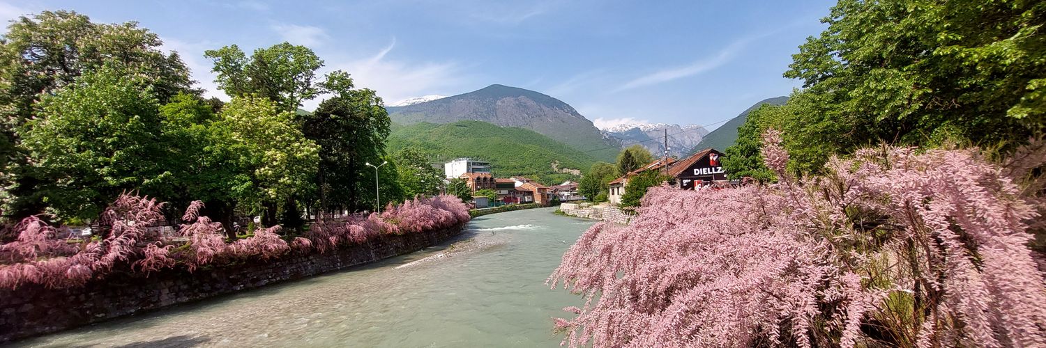 Vinvest Ferri banner