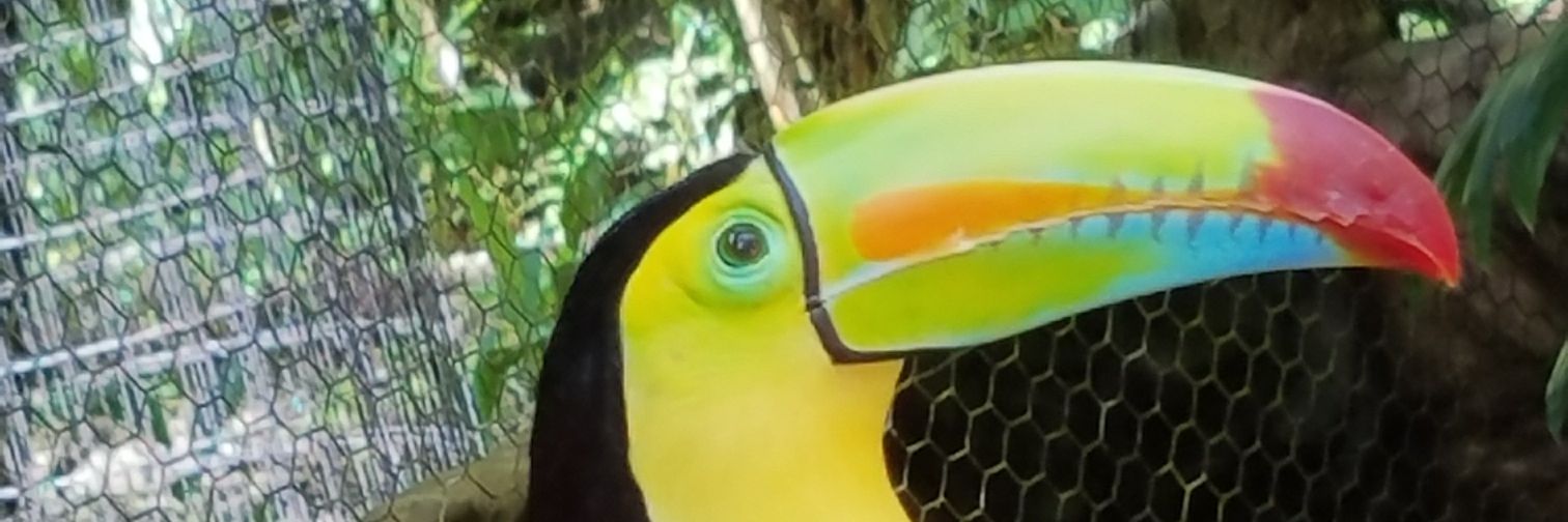 TooEasyAmbreezy's profile banner image