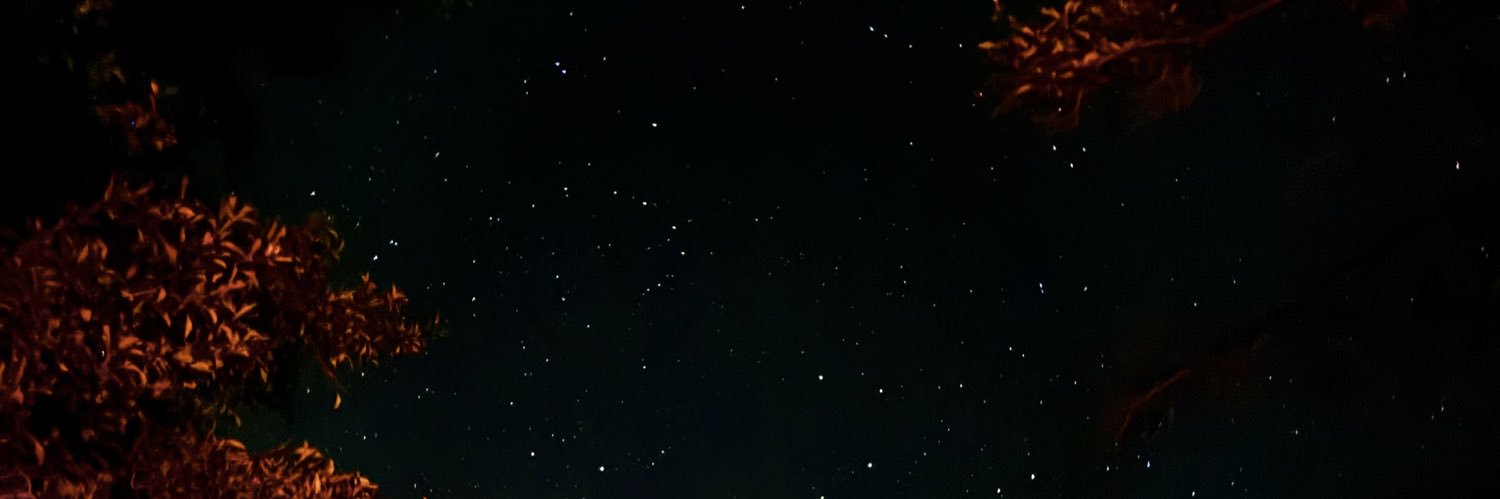 agostinalucian5's profile banner image