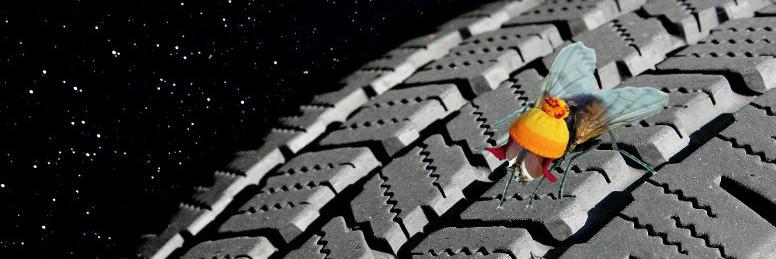 TicklishBrother's profile banner image