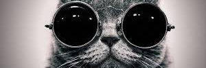 JoseitoGrego01's profile banner image