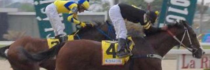 fernandotejera7's profile banner image