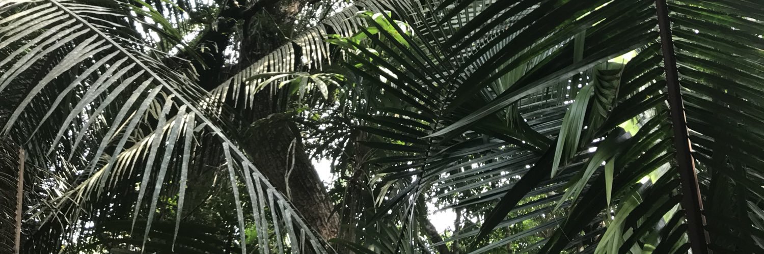 EfflandHannah's profile banner image