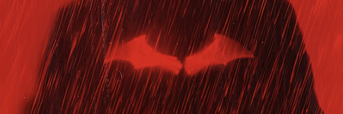 leandrusantz's profile banner image