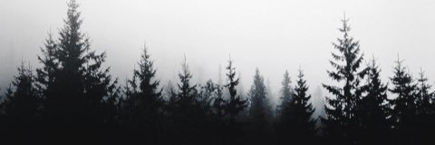 solopolochris's profile banner image