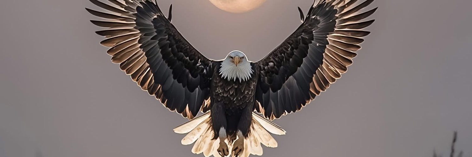 dkins12's profile banner image
