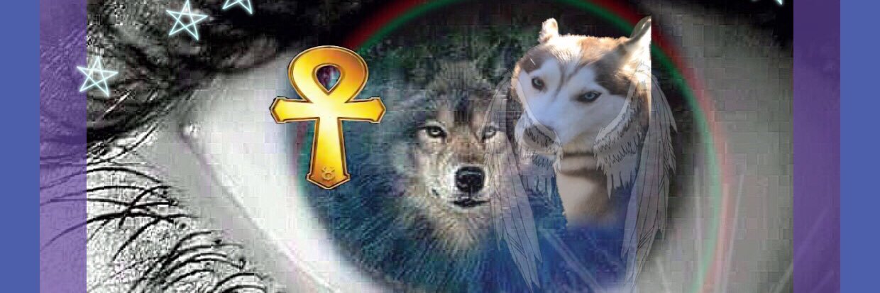 LunaSheetzhusky's profile banner image