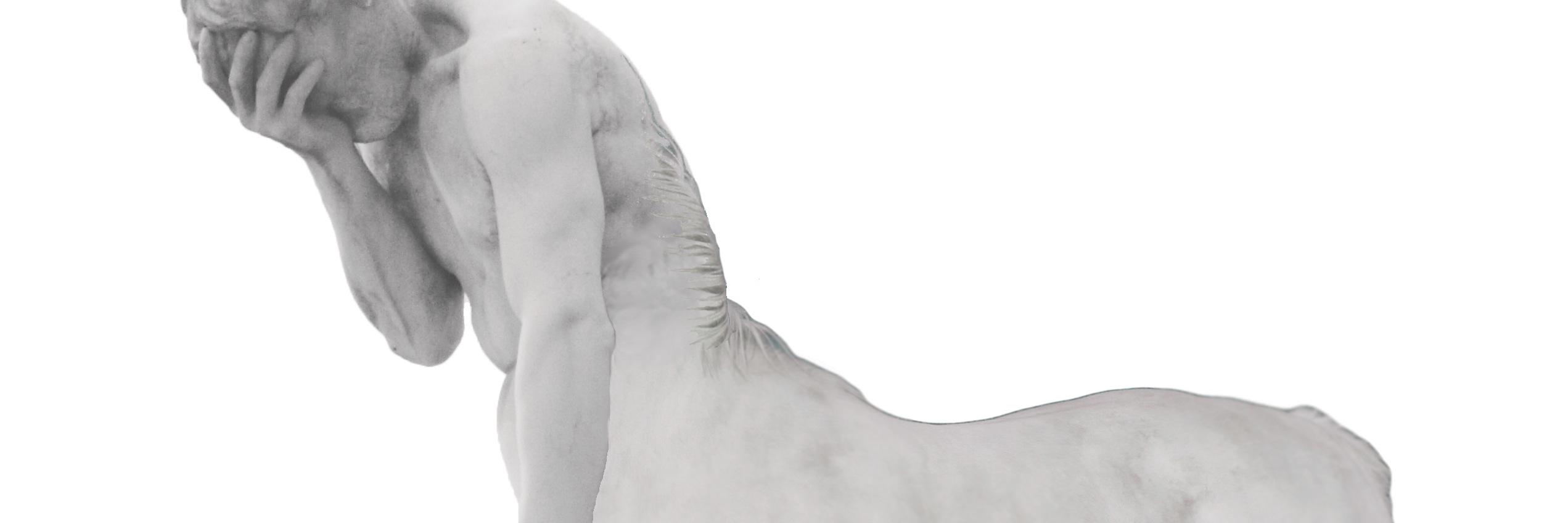 confusedcentaur's profile banner image