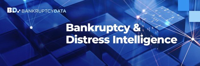 BankruptcyData's profile banner image