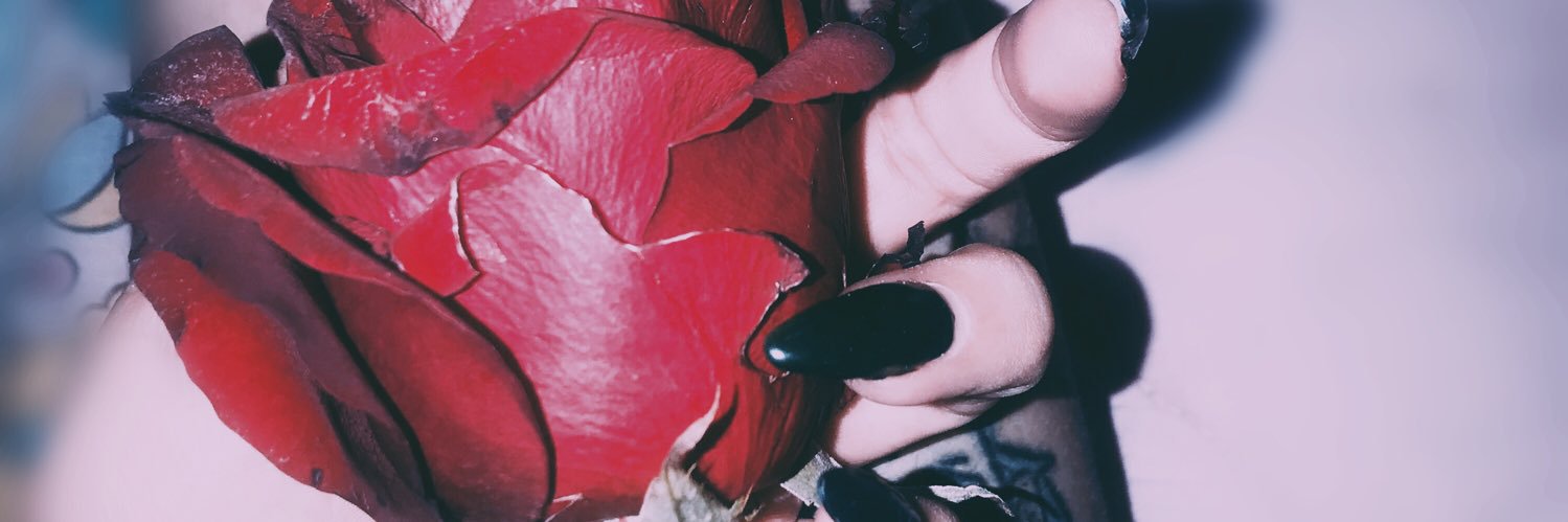 moradablond's profile banner image