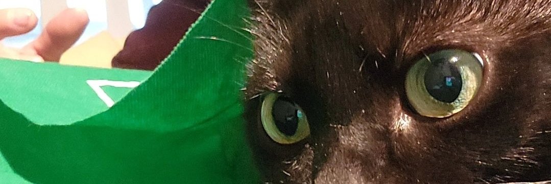 ComedianMiklos's profile banner image