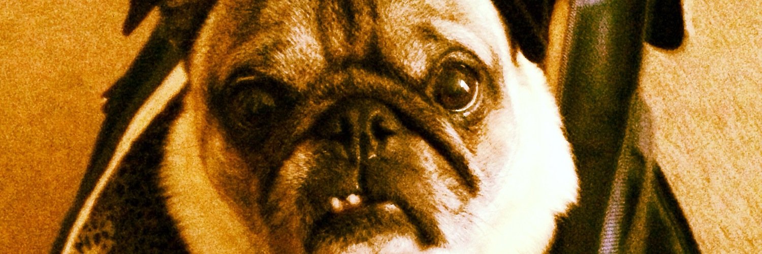 TWJDugal's profile banner image