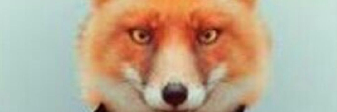 serkantilki's profile banner image