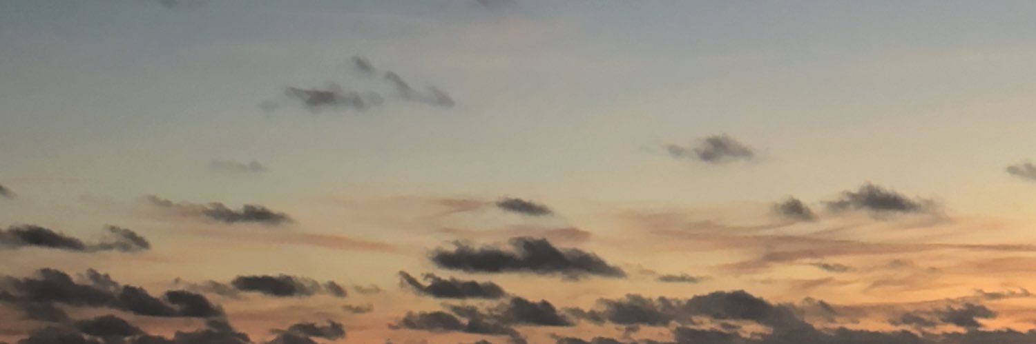 TiaBatess's profile banner image