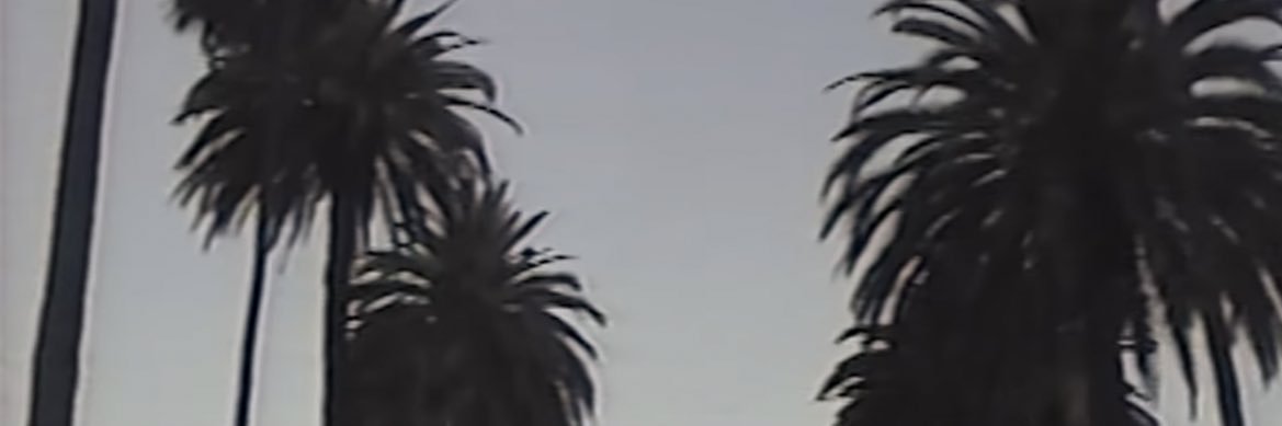 wilmxt's profile banner image