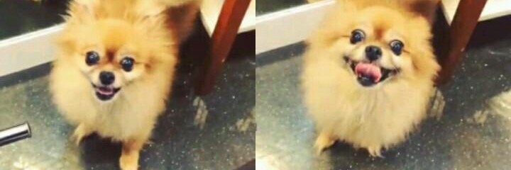 🌝🌈. banner