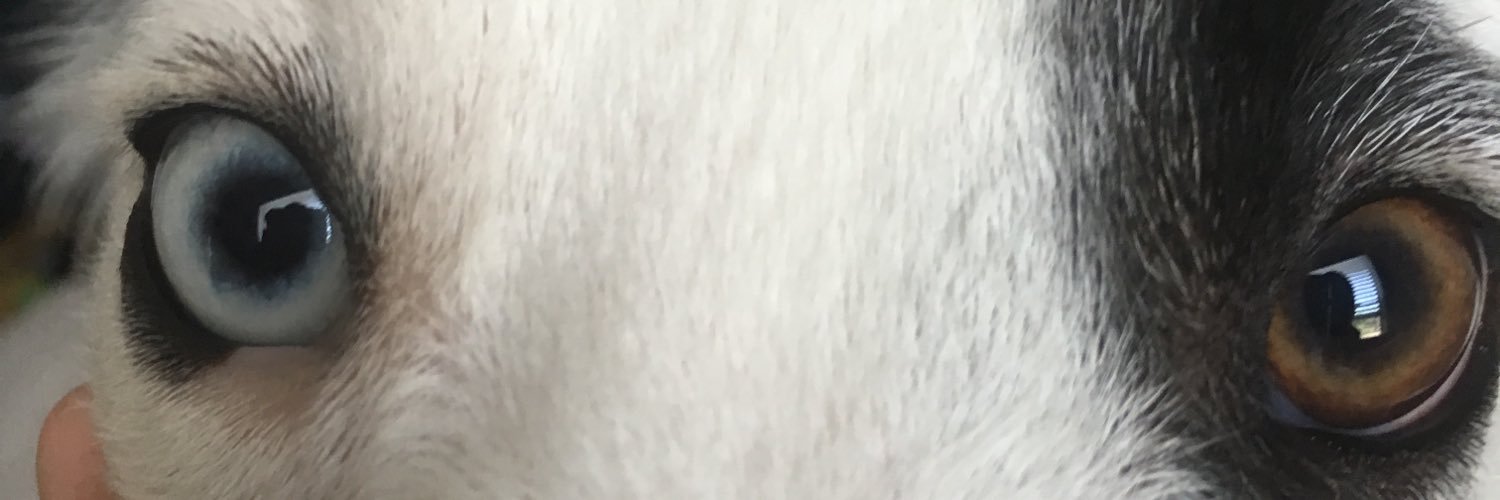 HannahOsowski's profile banner image