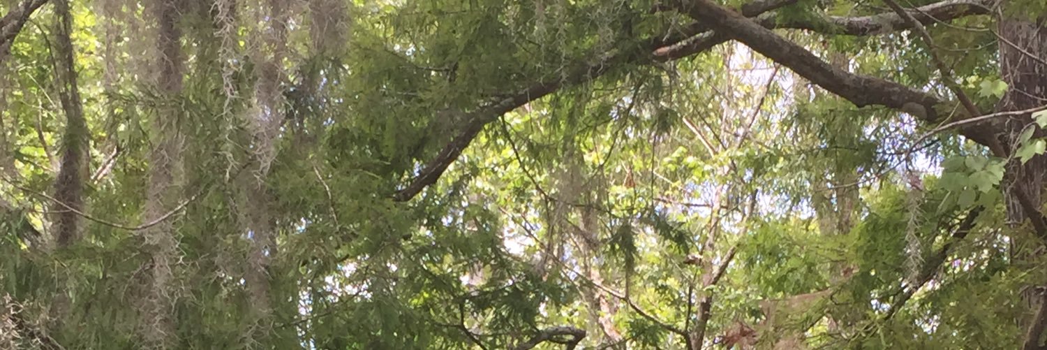 KayteGarren's profile banner image