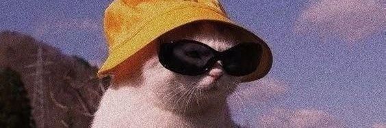 ponccce's profile banner image