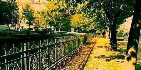 LKocaispir's profile banner image