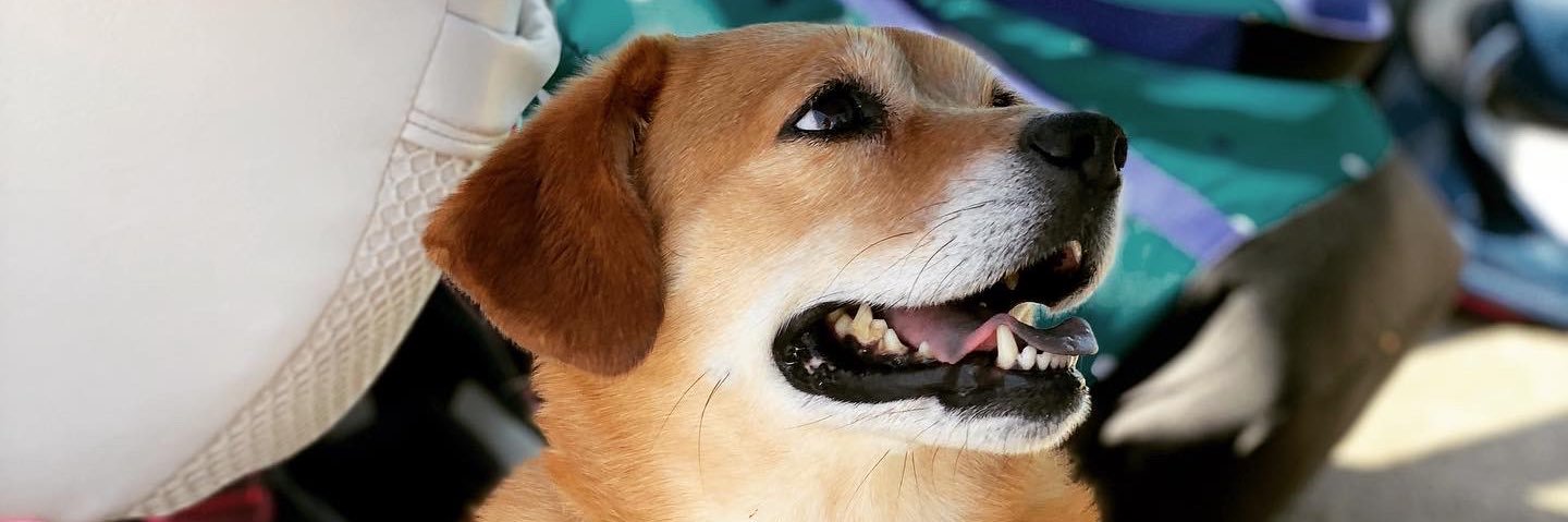 acoffman21's profile banner image