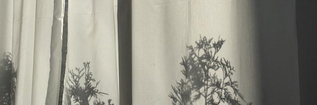 annabtf's profile banner image