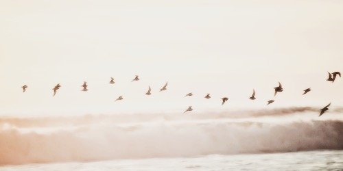 BarbsPalvinPL's profile banner image