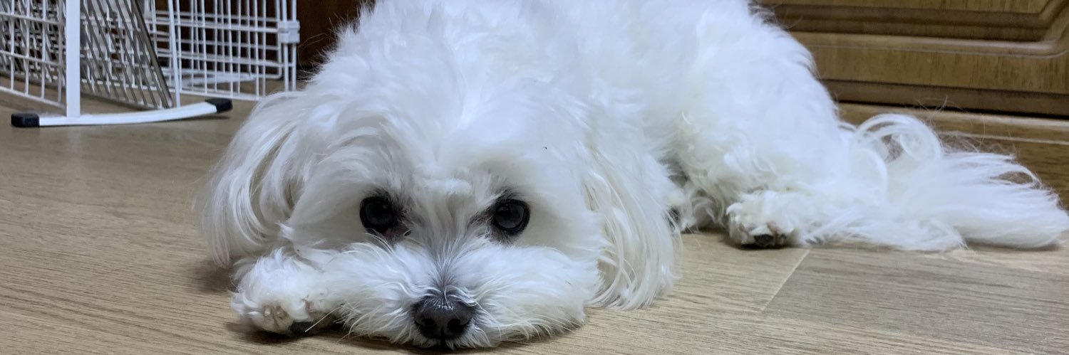 Ofutun109's profile banner image