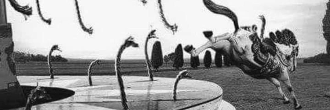 HDawn29's profile banner image