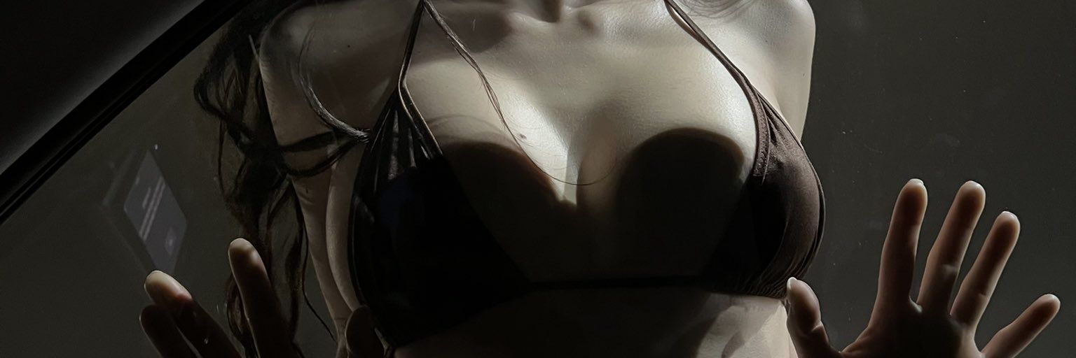 Elpanade22's profile banner image