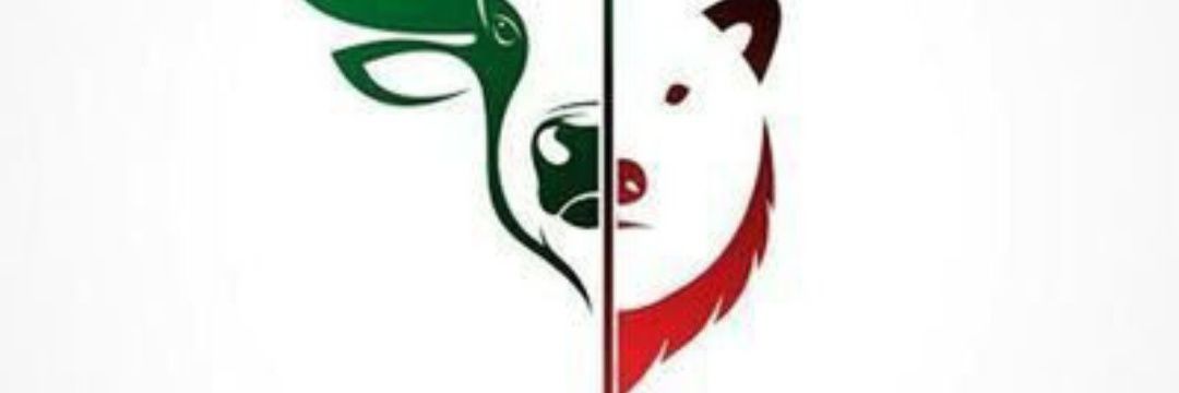BullsEyeBear's profile banner image