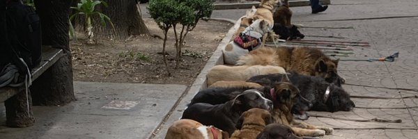 torresroberto Profile Banner