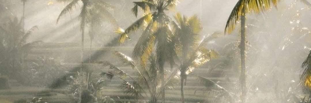 milesmnlnsn's profile banner image