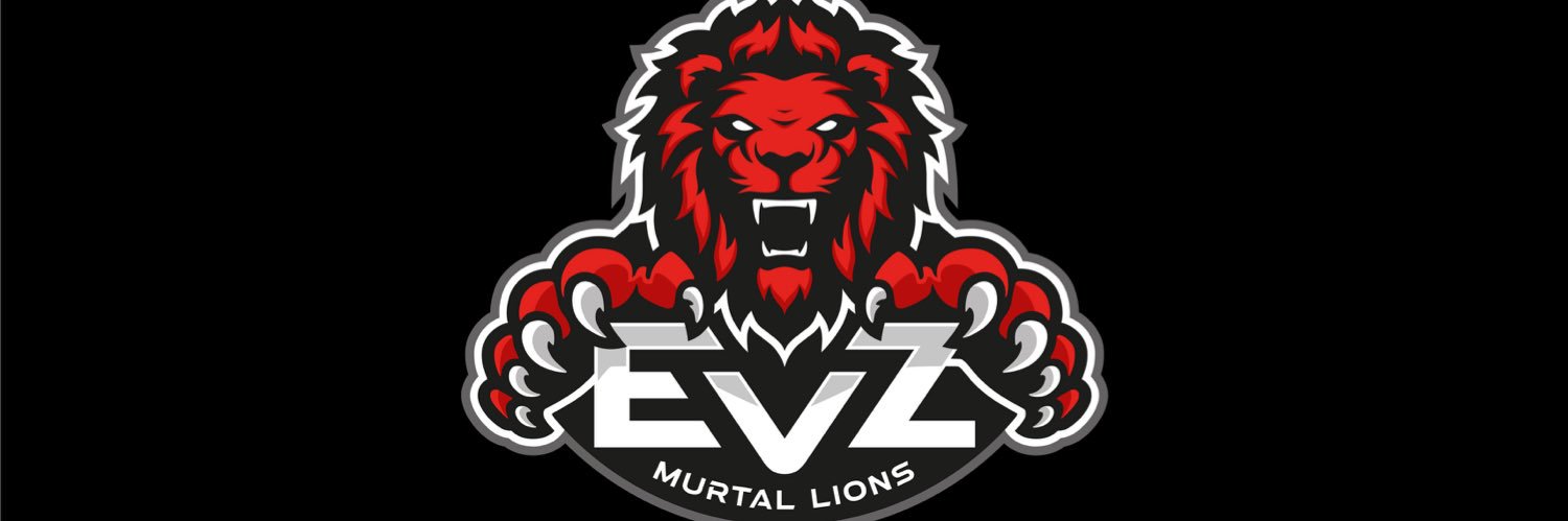 murtallions's profile banner image