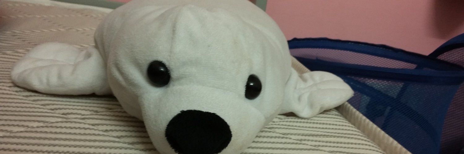 HeyDugong's profile banner image