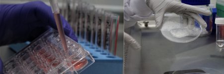 Respiratorymedi's profile banner image