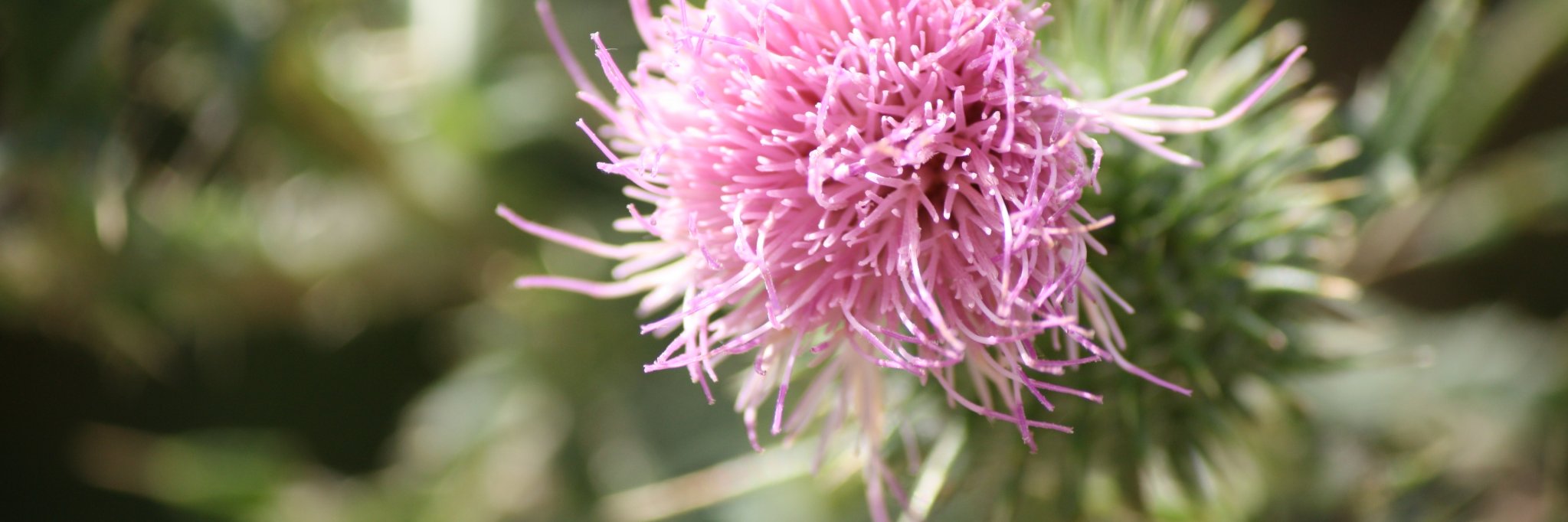 Barnaem@barnaem💙 banner