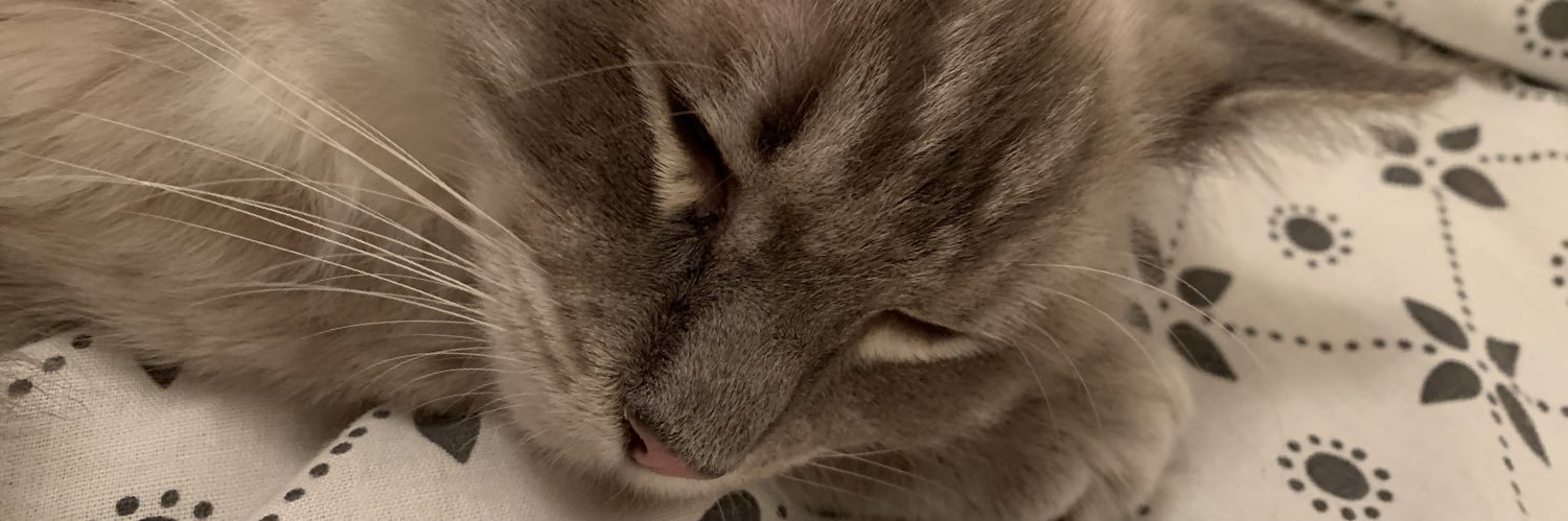 Bev banner
