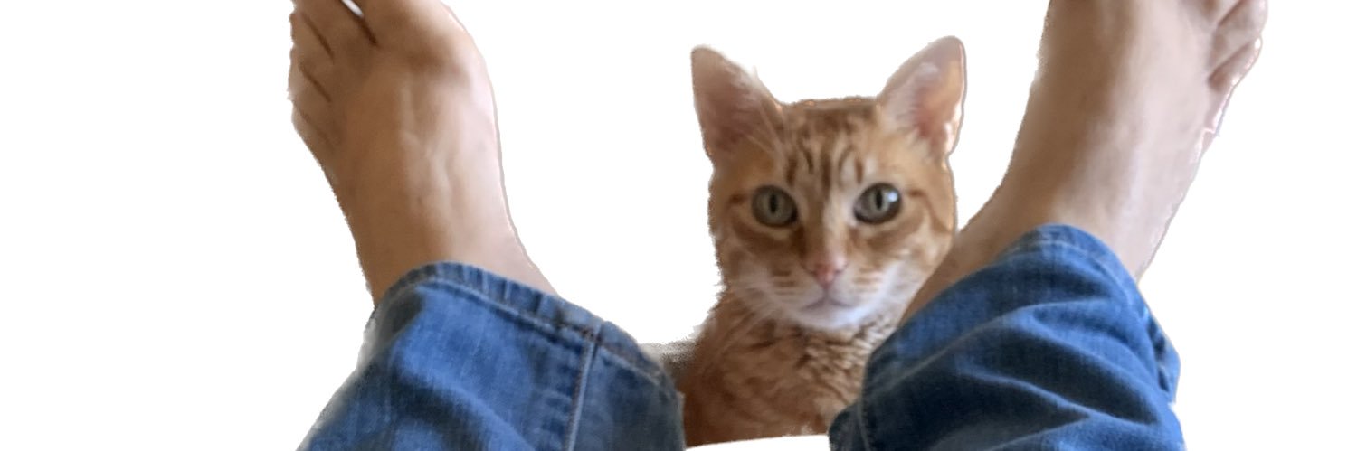 L_Duarte's profile banner image