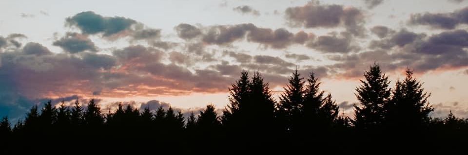 ColonelMooney's profile banner image