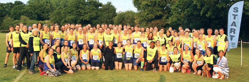 St Albans Striders banner